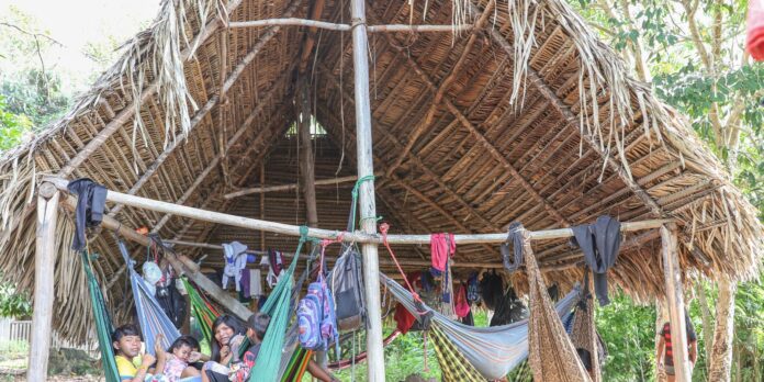 Povo Parakanã, do Pará, reocupa território após retirada de invasores