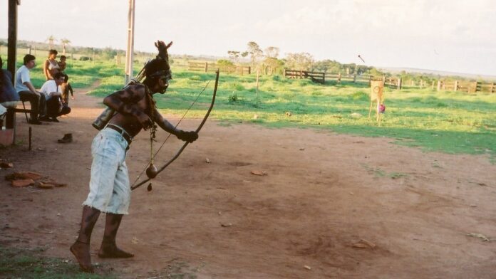 Grupo de bois em pasto verde sob céu aberto, representando pecuária bovina no Brasil.