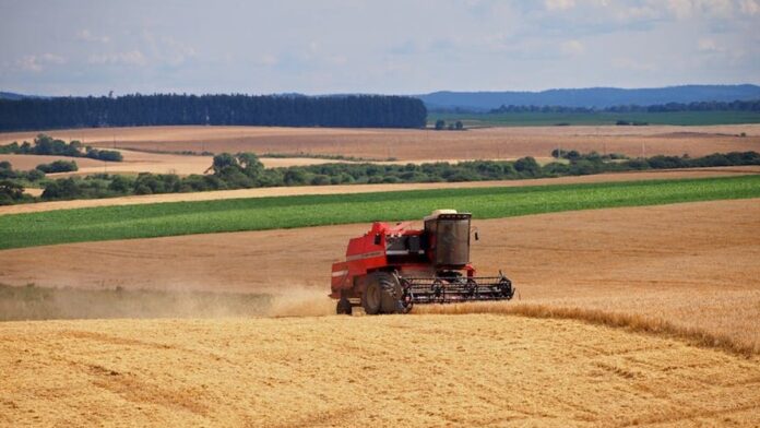 projeto-da-sedap-pb-destaca-artesanato-em-barro-de Mulher molda peça de barro em uma bancada de oficina, com foco em suas mãos trabalhando a argila.