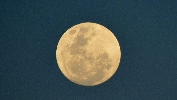 Ilustração de astronauta cultivando plantas em estufa tecnológica com solo avermelhado, remetendo a uma base lunar ou marciana.