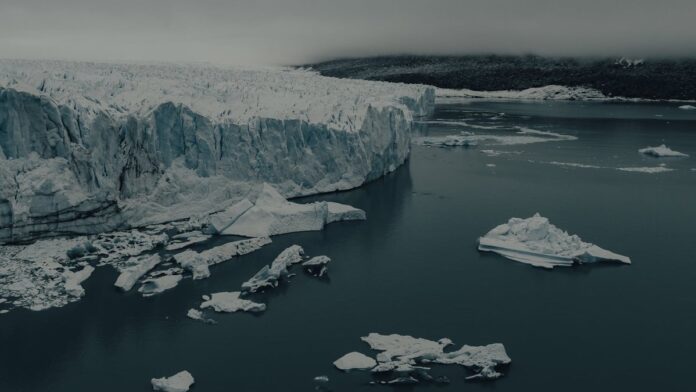 s4-6f6f8195d8fe Majestic icebergs and glaciers in a winter seascape, capturing the cold beauty of nature.