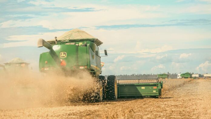 A combine harvester in action during a soybean harvest on a Brazilian farm.