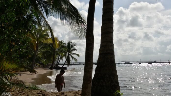 Smartphone moderno com bordas finas e tela escura, destacando o novo design da câmera na parte superior traseira.