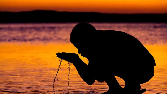 sefa-apreende-91-toneladas-de-soja-e-22-de-fertili Caminhões carregados com grãos de soja e sacas de fertilizantes parados em rodovia durante fiscalização da Sefa.