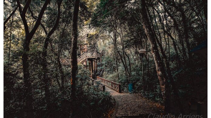 Agente da polícia demonstra o sinal silencioso de socorro com a palma da mão aberta e o polegar dobrado.
