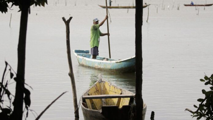 seguro-defeso-libera-r-180-milh-es-para-pescadores Pescador artesanal em um barco de madeira sobre águas calmas, segurando redes de pesca sob a luz do sol.