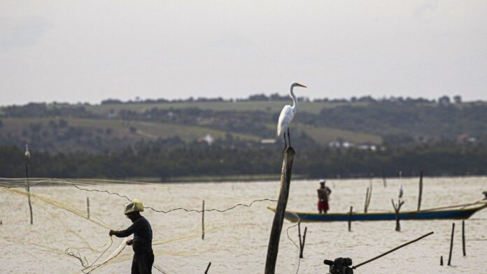 Pescador em um barco de madeira sobre águas calmas, lançando rede de pesca ao amanhecer.