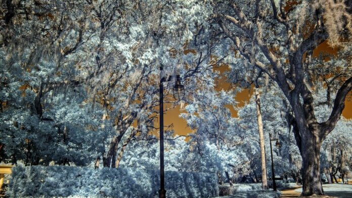 Jogadores da Seleção Brasileira e da Croácia disputam a bola no meio de um gramado durante partida amistosa.