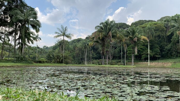 Fachada do Supremo Tribunal Federal (STF) com a escultura "A Justiça" em destaque sob céu azul.