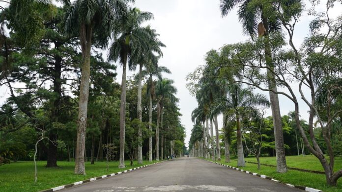 sweetpea-segunda-temporada-ganha-imagem-previs-o-d A atriz Ella Purnell em close, com expressão séria e olhar fixo, em cena da série Sweetpea.