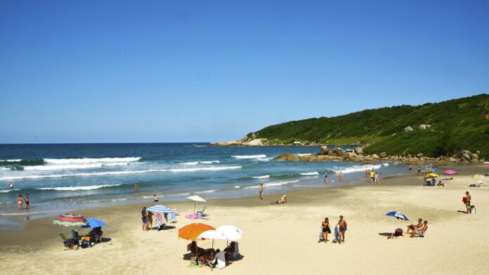 Tatiana Weston-Webb surfando uma onda grande com foco e determinação, vestindo roupa de borracha em mar aberto.