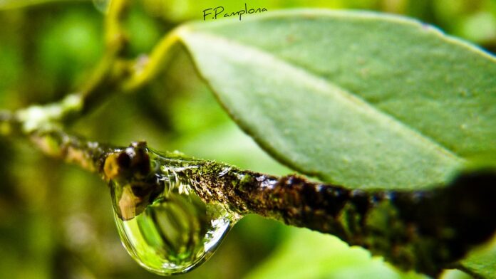 Personagem do jogo The Sims estudando em uma mesa com notebook, no estilo de ilustração aconchegante da Lofi Girl.