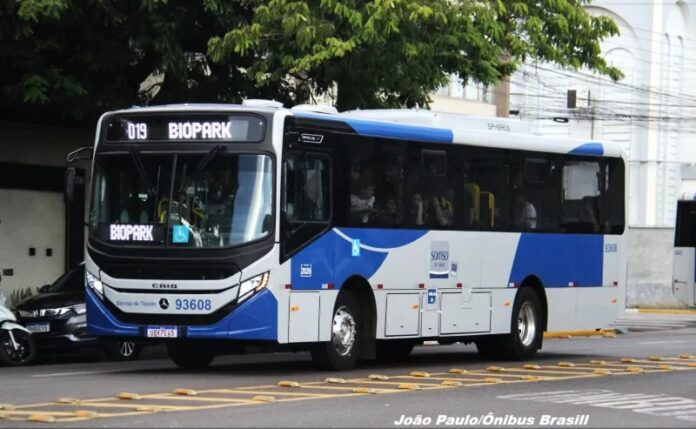 Toledo (PR) renova frota com 11 novos Caio Apache Vip V Mercedes-Benz Euro 6