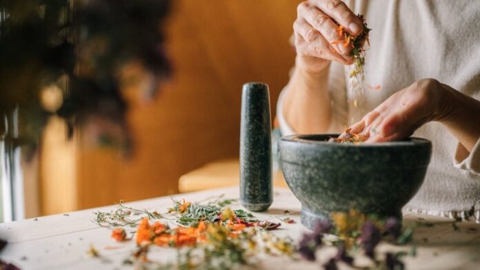 Traditional Medicinals Triple Pundit Coletivo de Sabedoria Vegetal