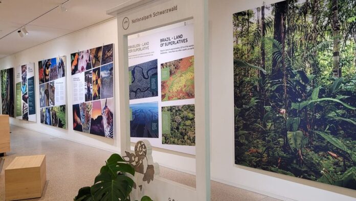 Painel fotográfico exibe paisagem de parque nacional brasileiro em estande de exposição ambiental na Alemanha.