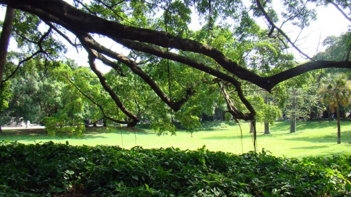 rio-3-open-prefeitura-do-rio-lan-a-sistema-pr-prio Computador com projeção holográfica de circuitos e ícones de IA sobre um mapa digital do Rio de Janeiro em tons azuis.