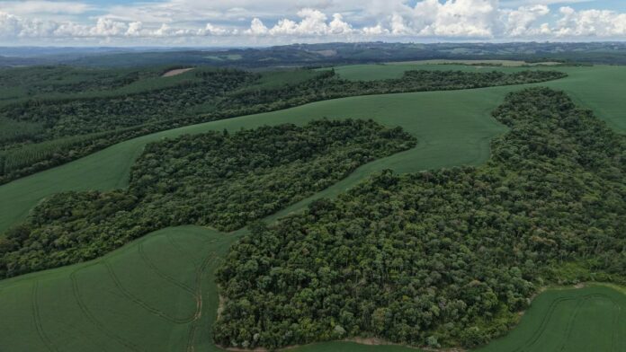 Aerial photograph showcasing the expansive green landscapes and forests of Brazil's Paraná region.