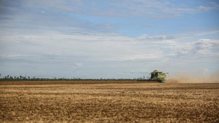 Tractor harvesting soybeans in a vast field under a clear sky in Paragominas, Brazil.
