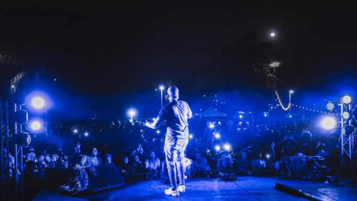 Vibrant live concert scene featuring a performer on stage under night lights with a cheering crowd.