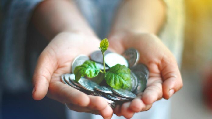 s4-40a766c6f6ca-1 Hands cupping coins with a green plant sprouting, symbolizing financial growth.
