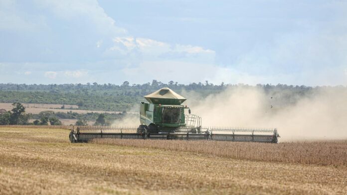 A combine harvester works on a vast soybean field in Paragominas, capturing Brazilian agriculture.