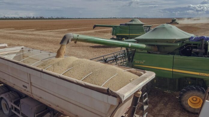 Combine harvesters loading soybeans into a truck in Paragominas, Brazil.