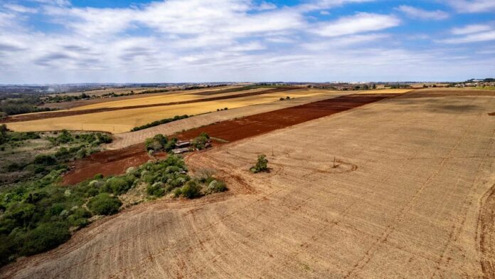 Expansive aerial view of farmland in Londrina, showcasing diverse crop fields under a vivid sky.
