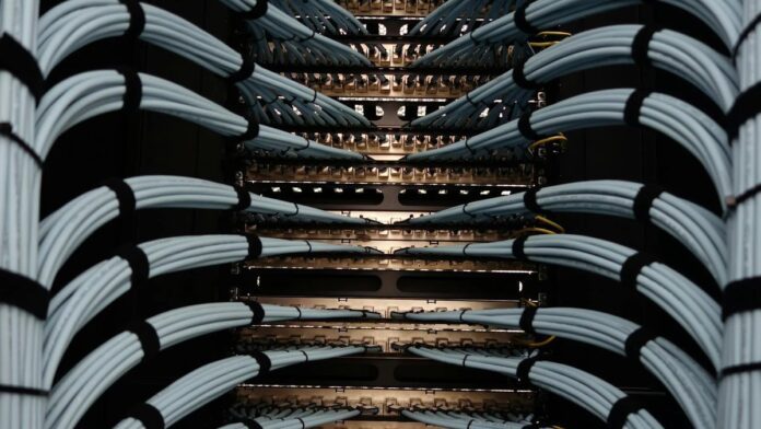 Organized network server cables for efficient data management.