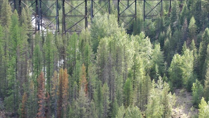 Pilha de minerais industriais granulados em tons de cinza, simbolizando a cadeia de suprimentos de terras raras.